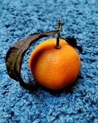 High angle view of orange