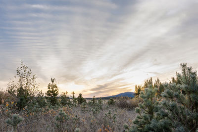 Scenic view of landscape against sky