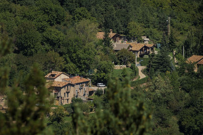 High angle view of buildings in forest