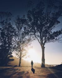 Woman walking amidst trees against sky during sunset