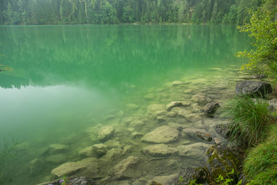 Scenic view of lake