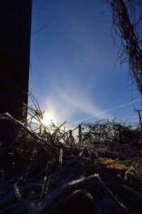 Low angle view of power lines against sky