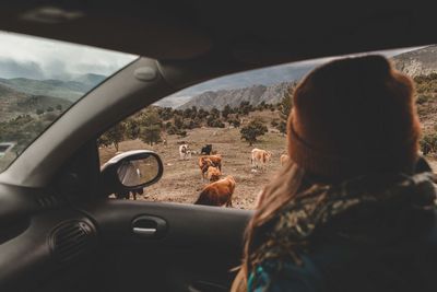 Rear view of woman in car