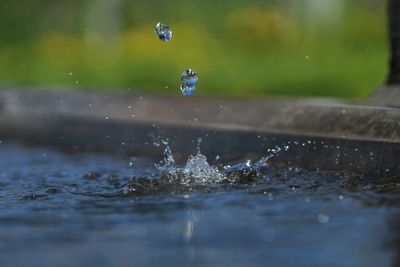 Close-up of drop falling on water