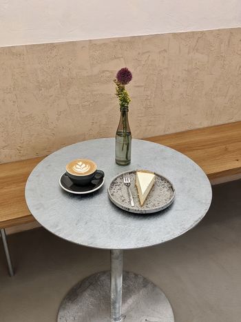 HIGH ANGLE VIEW OF POTTED PLANT ON TABLE