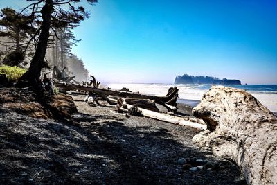 Scenic view of beach against blue sky