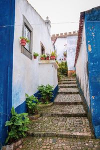 Low angle view of potted plants on wall of building