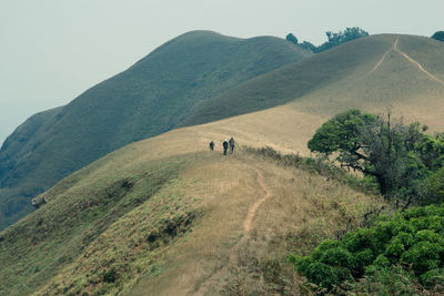 Rear view of men on mountains against clear sky