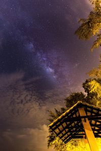 Low angle view of trees against sky at night