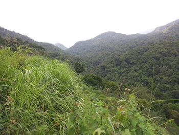 Scenic view of mountains against clear sky