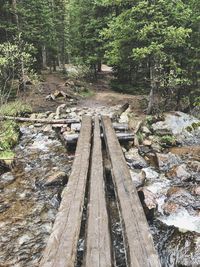 Railroad tracks amidst trees in forest