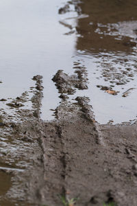 View of lake with trees in background