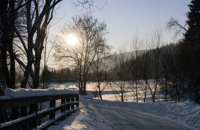 Snow covered trees against sky during sunset