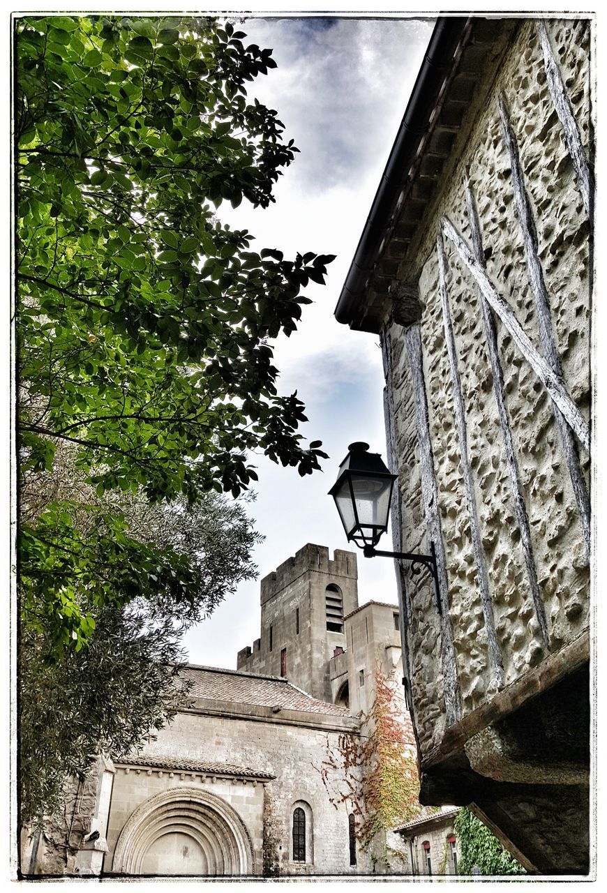 LOW ANGLE VIEW OF BELL TOWER BY TREE AGAINST SKY