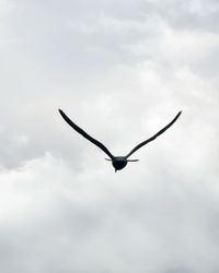 Low angle view of seagull flying in sky