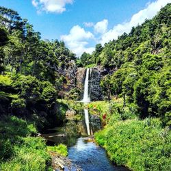 Scenic view of waterfall amidst trees in forest against sky