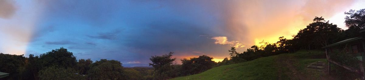Panoramic view of trees against sky during sunset