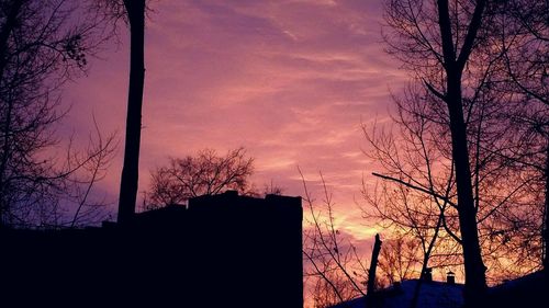 Low angle view of silhouette trees against sky