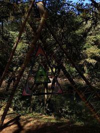 Low angle view of trees in forest