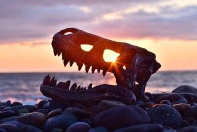 Close-up of pebbles on shore during sunset