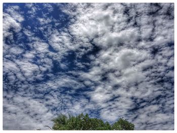 Low angle view of trees against sky