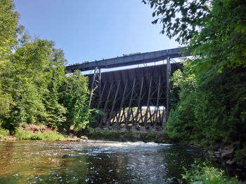 Scenic view of river in front of trees against clear sky