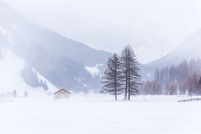 In the storm. winter chills in riva di tures. italy