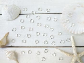 Directly above shot of jewelry and sea shells on table