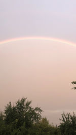 rainbow