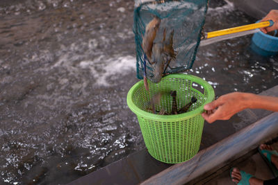 Low section of person catching fish in lake