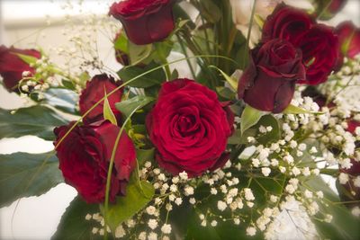 Close-up of red roses blooming outdoors