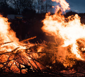 Close-up of bonfire in forest at night