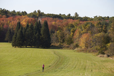 A woman running through a path on an autumn day.