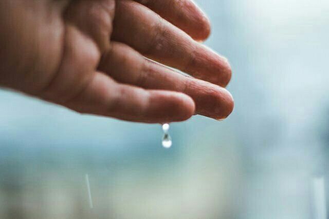 person, part of, focus on foreground, human finger, drop, cropped, close-up, water, holding, selective focus, wet, unrecognizable person, reflection, detail, lifestyles, rain, day