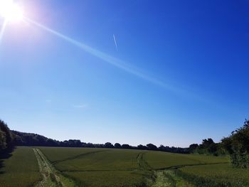 Scenic view of field against clear sky