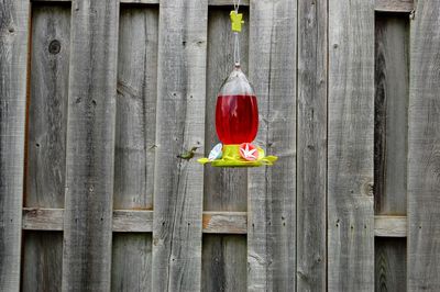 Close-up of bird feeder