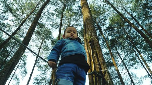 Low angle view of boy against trees in forest