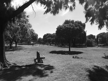 Woman on field in park against sky