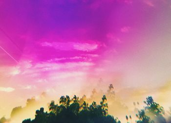 Low angle view of silhouette trees against sky during sunset