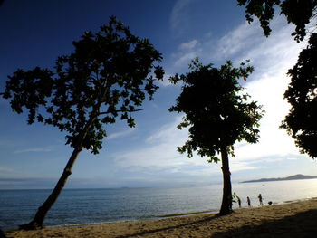 Silhouette tree on beach against sky