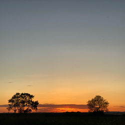 Silhouette trees on field against sky during sunset