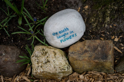 High angle view of stones on rock