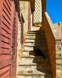 Staircase amidst buildings