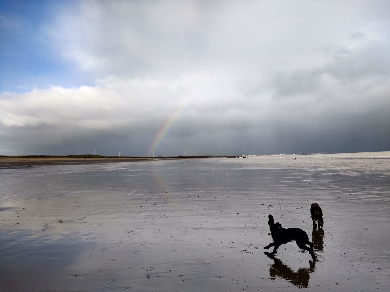 SILHOUETTE BEACH AGAINST SKY