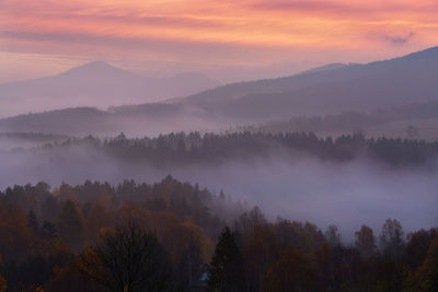 Scenic view of trees against sky during sunset