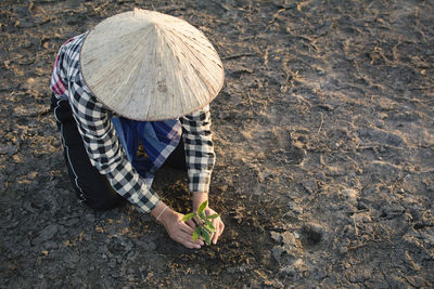 High angle view of man doing plantation on field