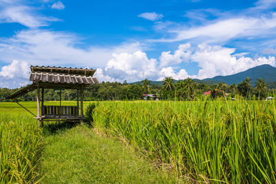 Built structure on field against sky