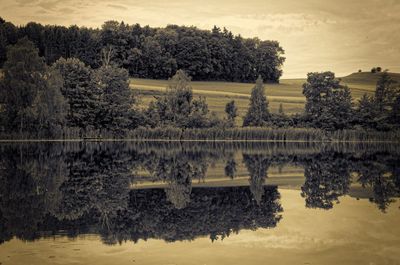 Scenic reflection of trees in lake