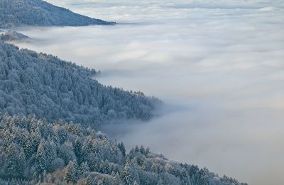 A see of clouds above the leman