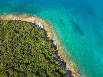 Aerial view of beach